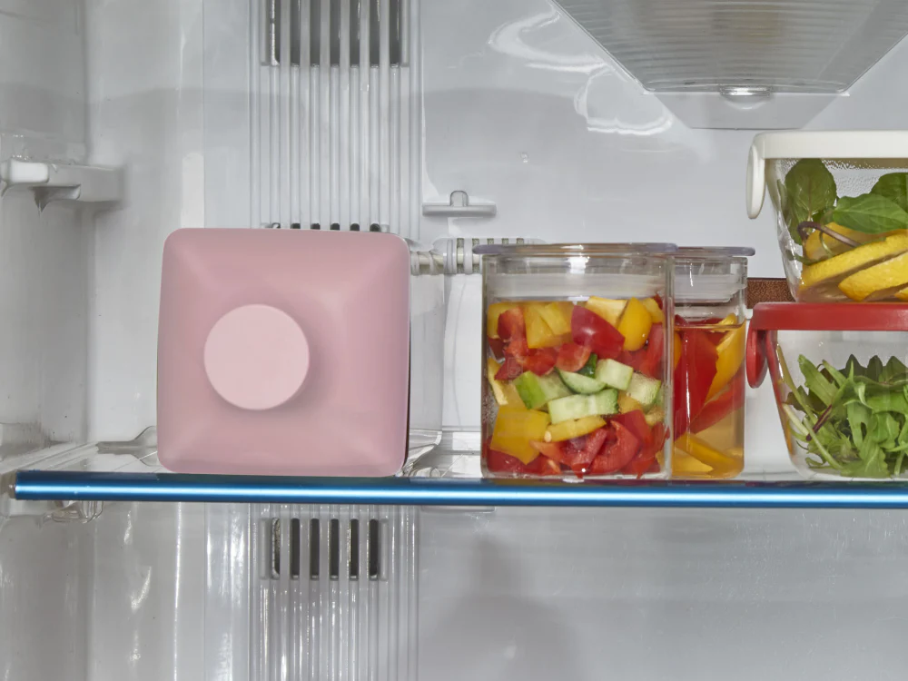 【静岡森産】 水出し緑茶「はまかぜ」160g詰&カークボトルセット