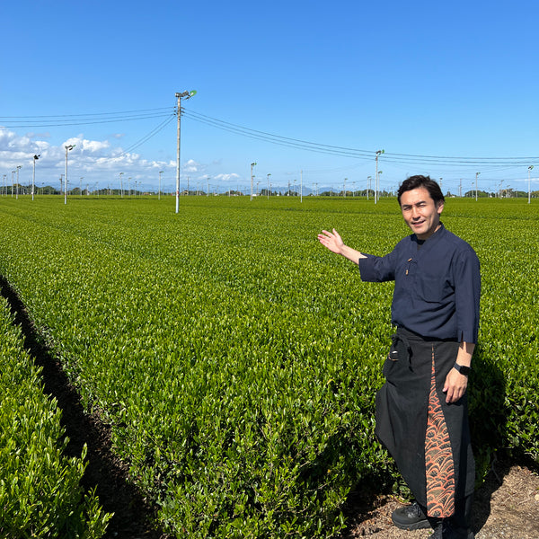 静岡新茶の仕入れで大切な生産家「開拓茶農協」さんとインスタライブしました！