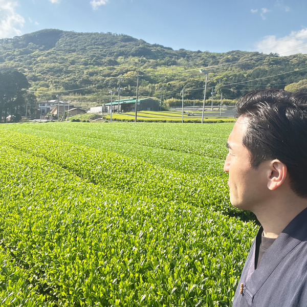 鹿児島と静岡の茶畑を巡って、新茶を製造しています！！