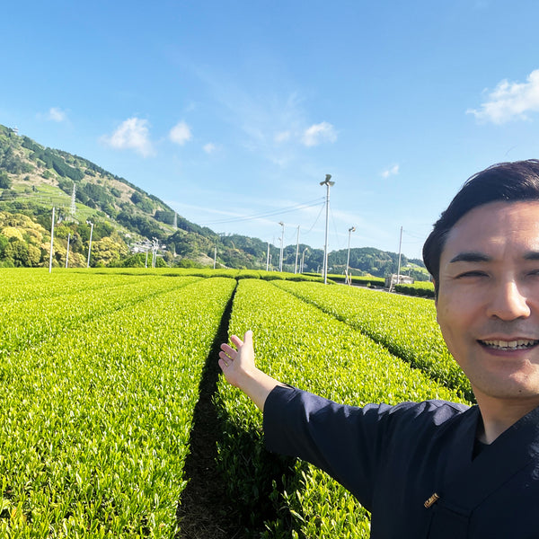 限定新茶予約の第一弾のお渡しが明日5月8日からスタートです！