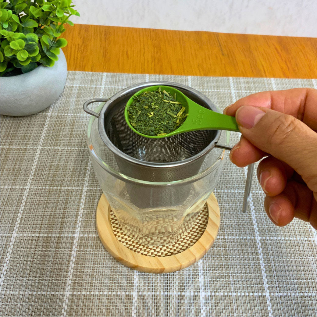 特別価格【静岡森産】水出し緑茶「はまかぜ」＆SS手付きフィルターセット　※ネコポス便不可