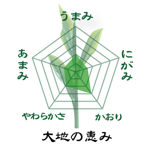2023 new tea [produced in Chiran, Kagoshima] special deep-steamed kabuse green tea ``Daichi no Megumi'' 80g packed 