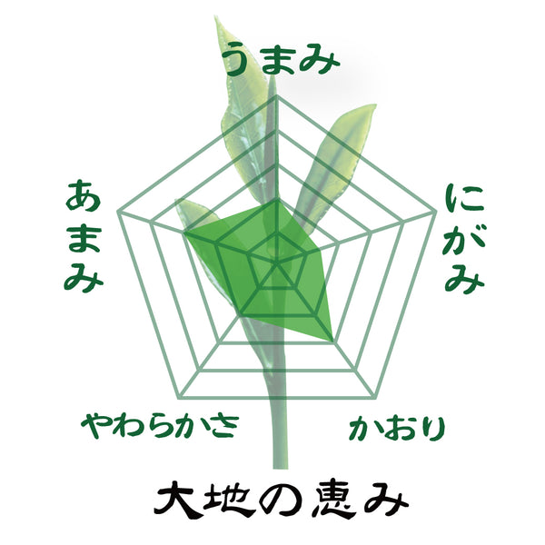 【鹿児島知覧産】 特製深蒸しかぶせ緑茶「大地の恵み」80g詰※ネコポス便4本まで