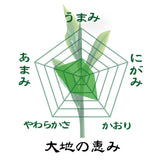 鹿児島知覧産・福岡八女産 深蒸し緑茶飲みくらべセット