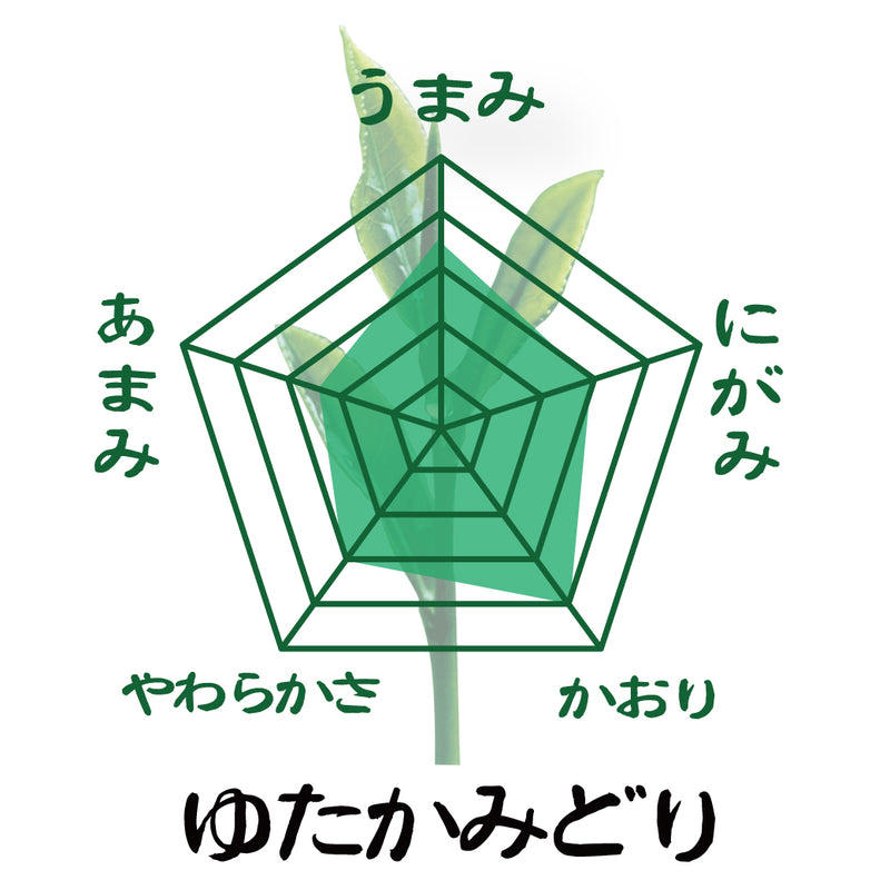 特別価格！贈答箱入！静岡・鹿児島・福岡八女「三大産地おすすめ茶葉セット」