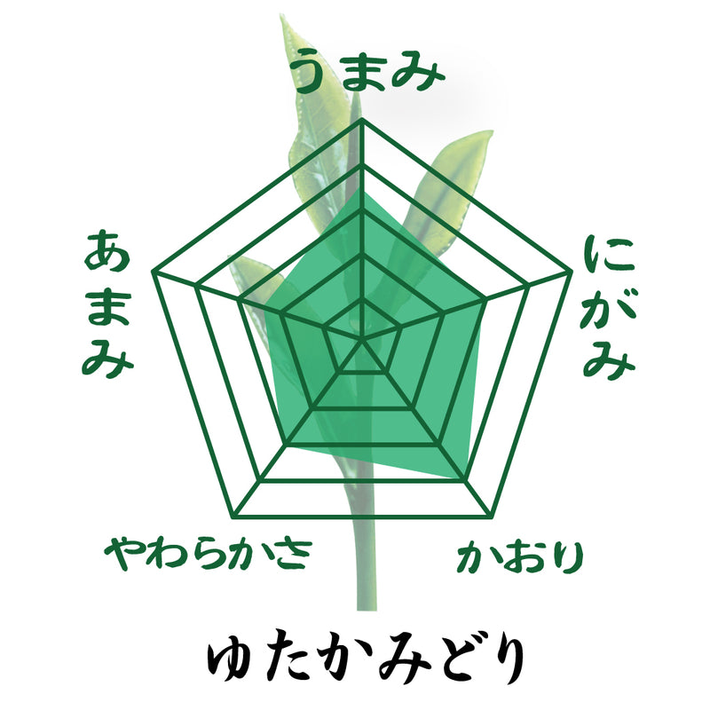 2 major production areas 3 varieties green tea drinking set / "Yasuragi" 80g, "Gyokuro Zukuri" 80g, "Yutaka Midori" 80g