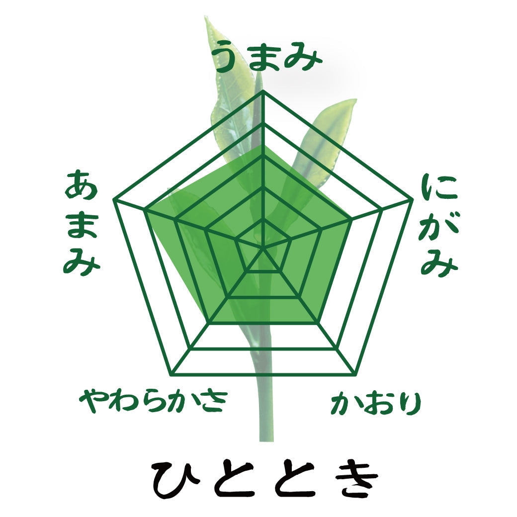 2024年度産 【静岡菊川掛川・福岡八女産】深蒸し緑茶「ひととき」80ｇ・「八女の香り」80ｇセット