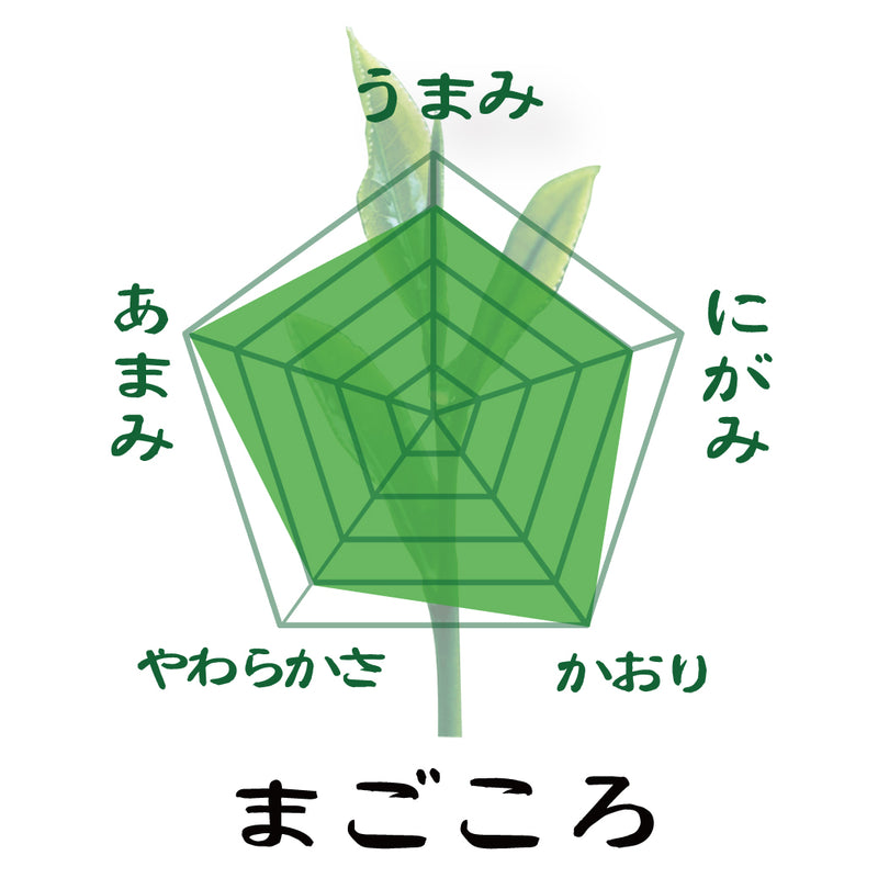 2024年度産　静岡菊川・掛川の最上深蒸し緑茶　「瑞鳳」80ｇ「まごころ」80ｇの2種セット