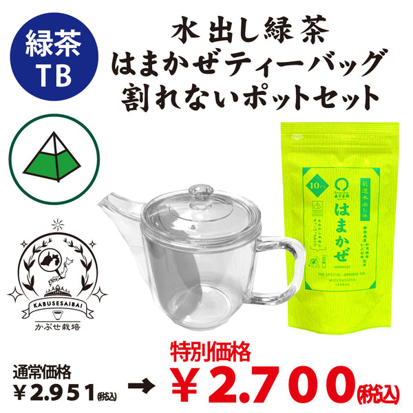 新商品！特別セット価格【静岡森産】 水出し緑茶「はまかぜティーバッグ」＆割れないポットセット