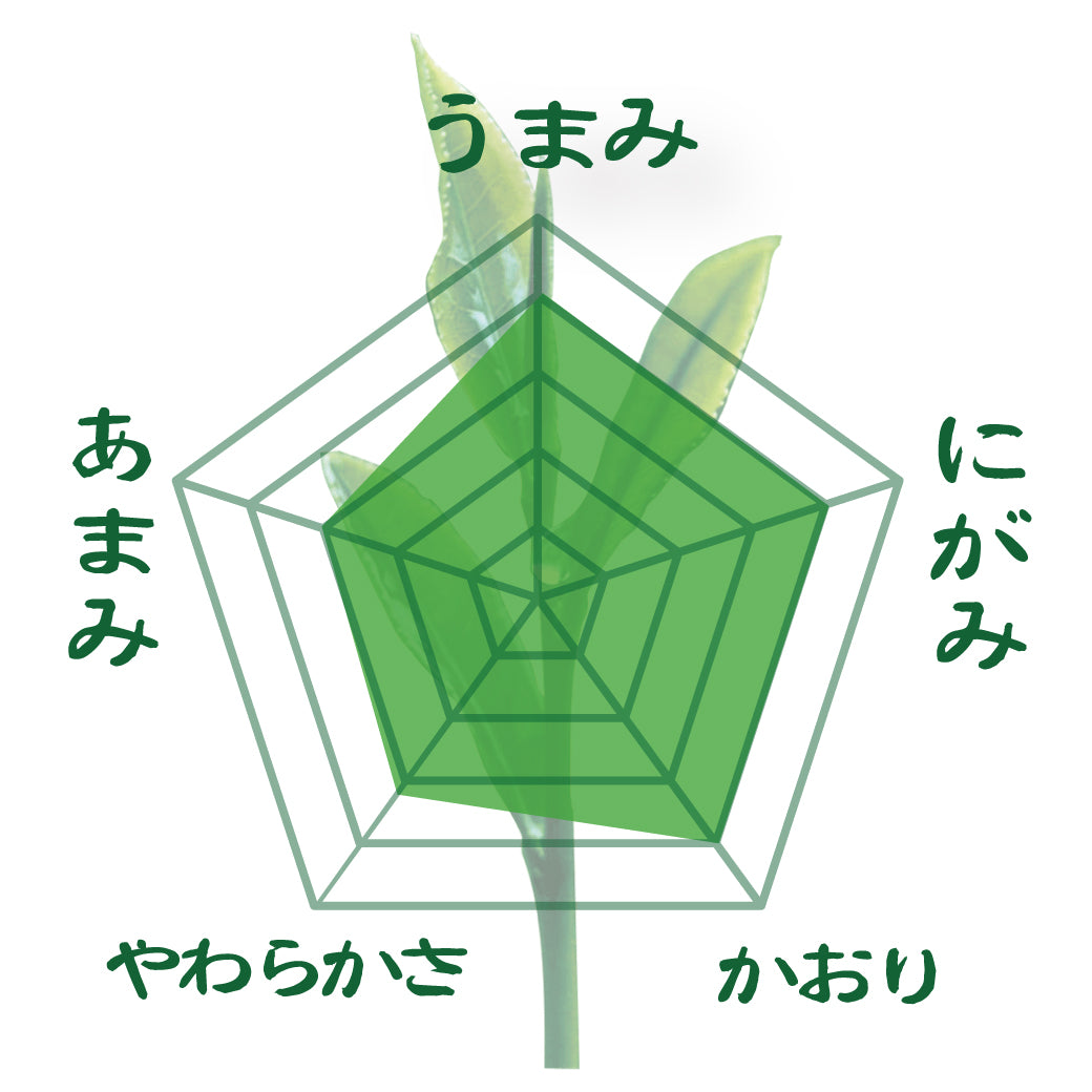 2024年度産【静岡牧之原産やぶきた品種】 特製オリジナル深蒸し煎茶「やすらぎ」80g詰※ネコポス便4本まで