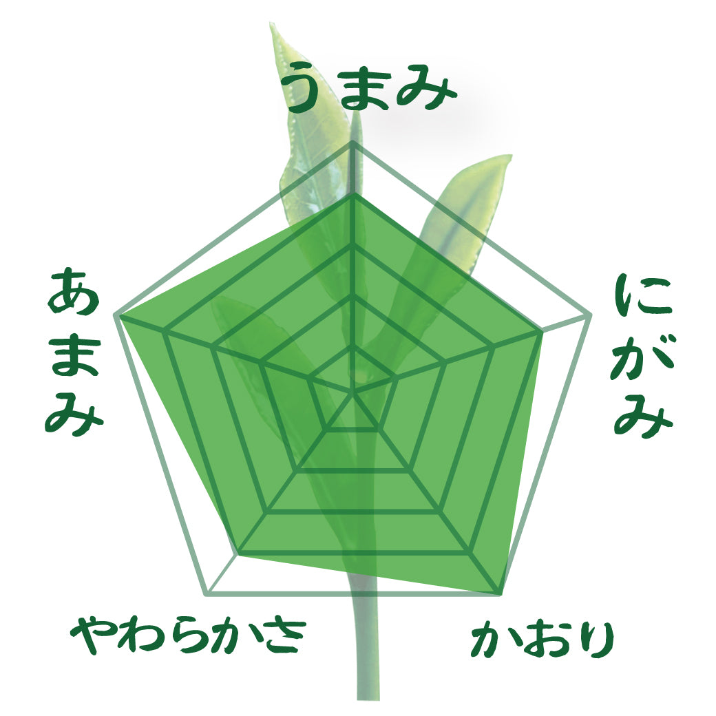 【静岡掛川産やぶきた品種】 特製オリジナル深蒸し緑茶「まごころ」80g詰※ネコポス便4本まで