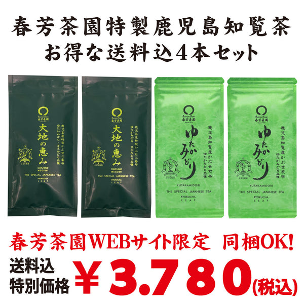 Bundled OK! Bulk buying set including shipping! Most Popular! New tea produced in 2023 [Kikugawa, Kakegawa, Shizuoka] Deep-steamed green tea "Hitotoki" 80g set of 3 bottles