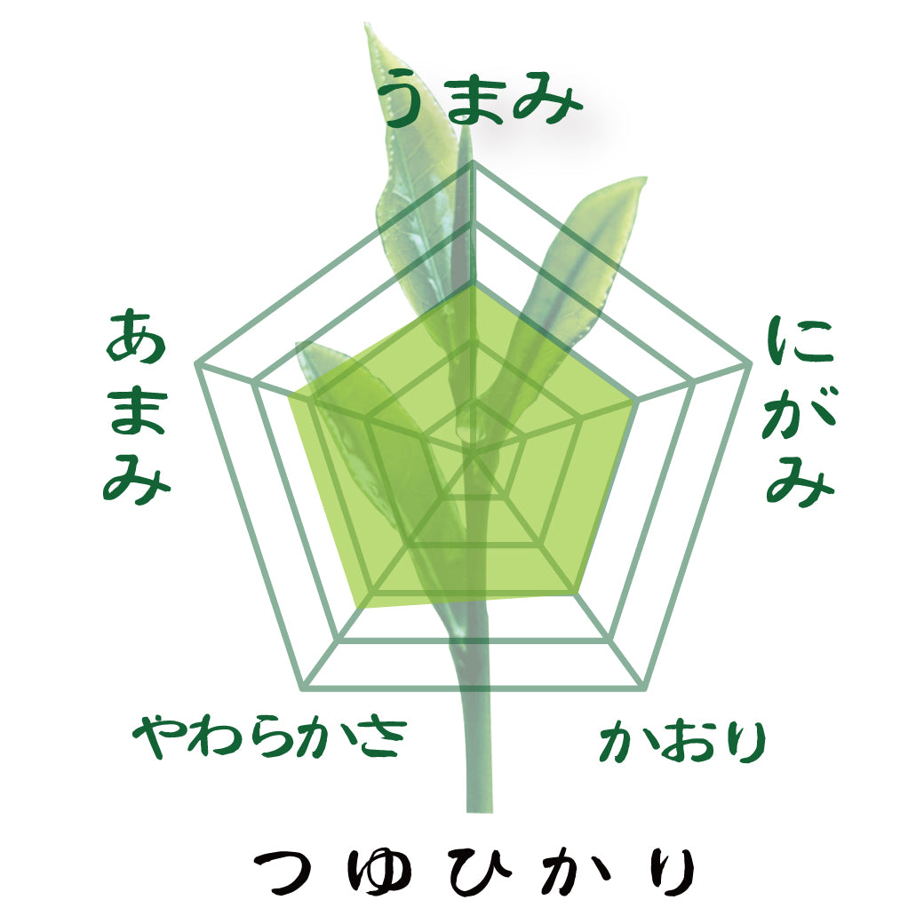贈答箱入！静岡・鹿児島・福岡八女「三大産地おすすめ茶葉セット」