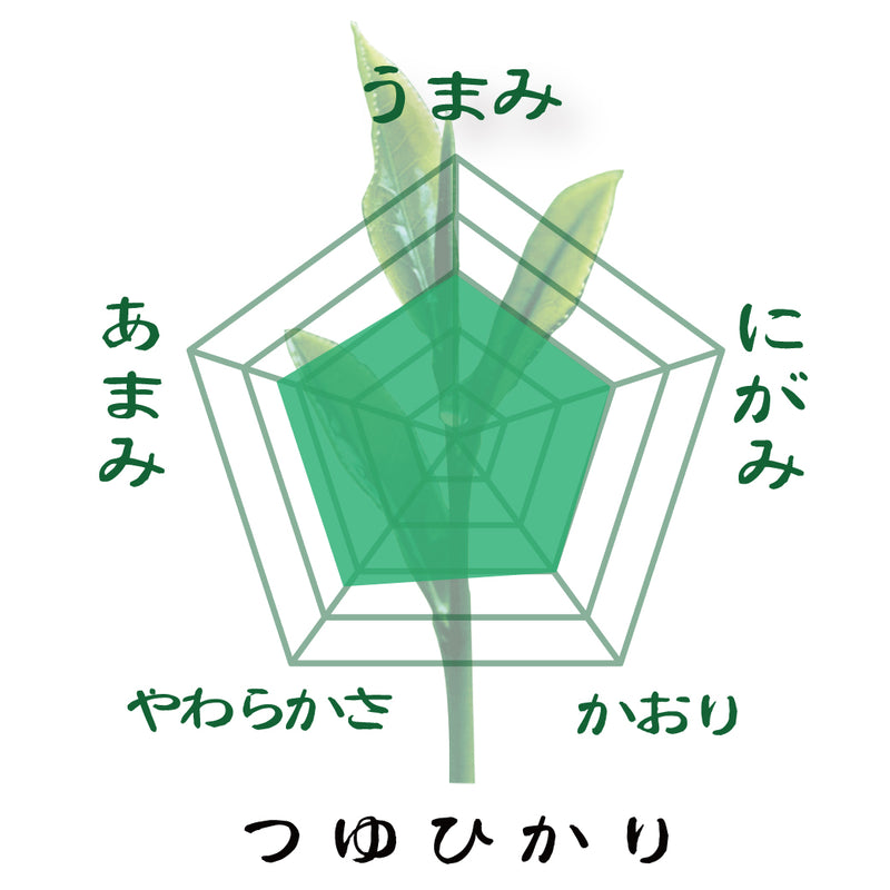 [Tsuyu Hikari variety from Makinohara, Shizuoka Prefecture] Special covered sencha "Tsuyu Hikari" 80g pack 