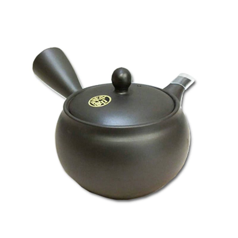 Tokoname ware black mud teapot with stainless steel filter 330ml