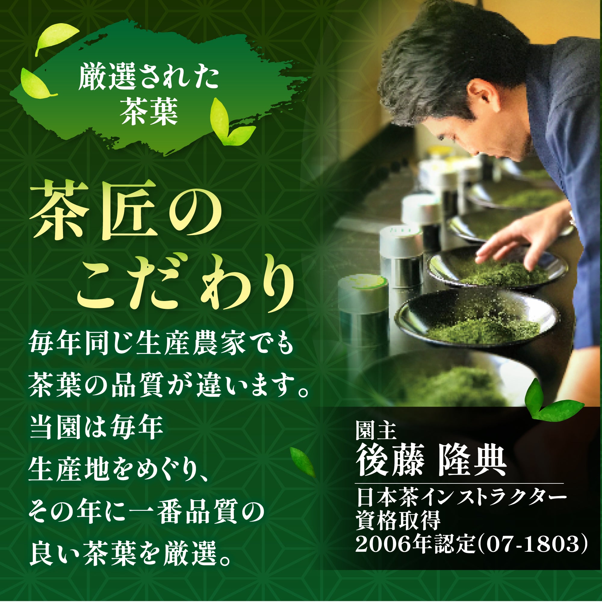 [Mori Shizuoka] Cold brew green tea 