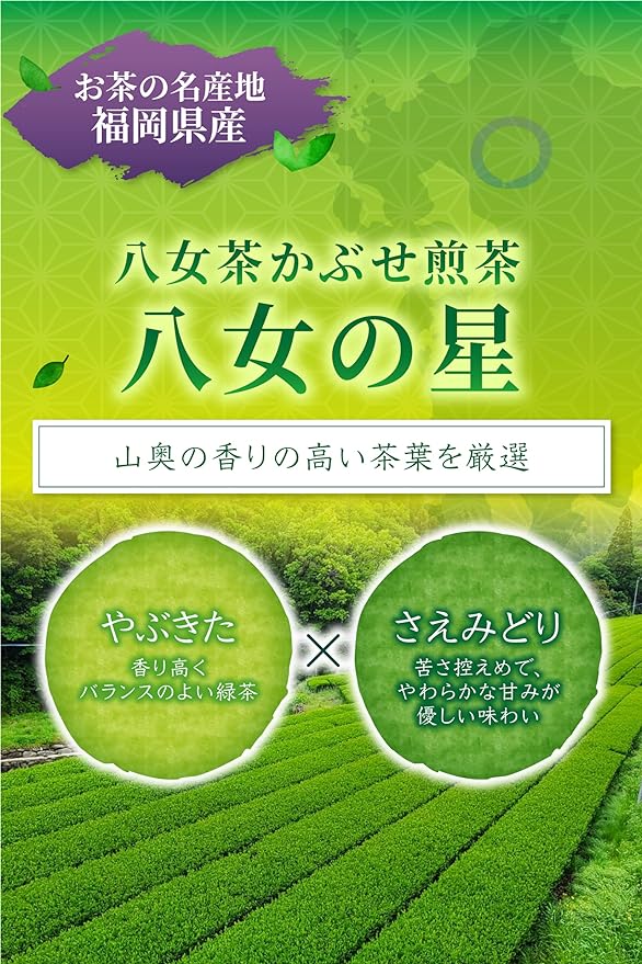 2024年度産 【福岡県八女産さえみどり＆やぶきた品種】深蒸しかぶせ緑茶「八女の星」80g詰※ネコポス便4本まで