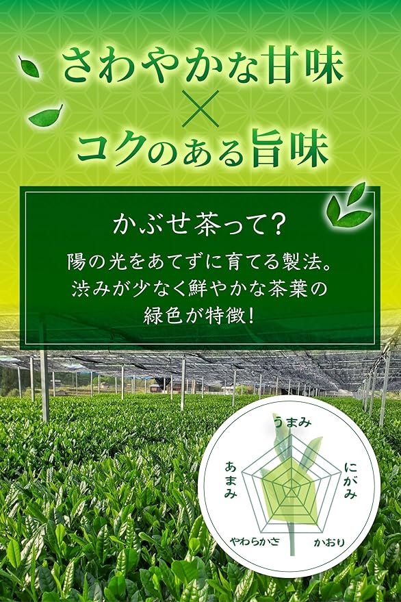 [Saemidori &amp; Yabukita varieties from Yame, Fukuoka Prefecture] Deep steamed covered green tea “Yame no Hoshi” 80g pack 