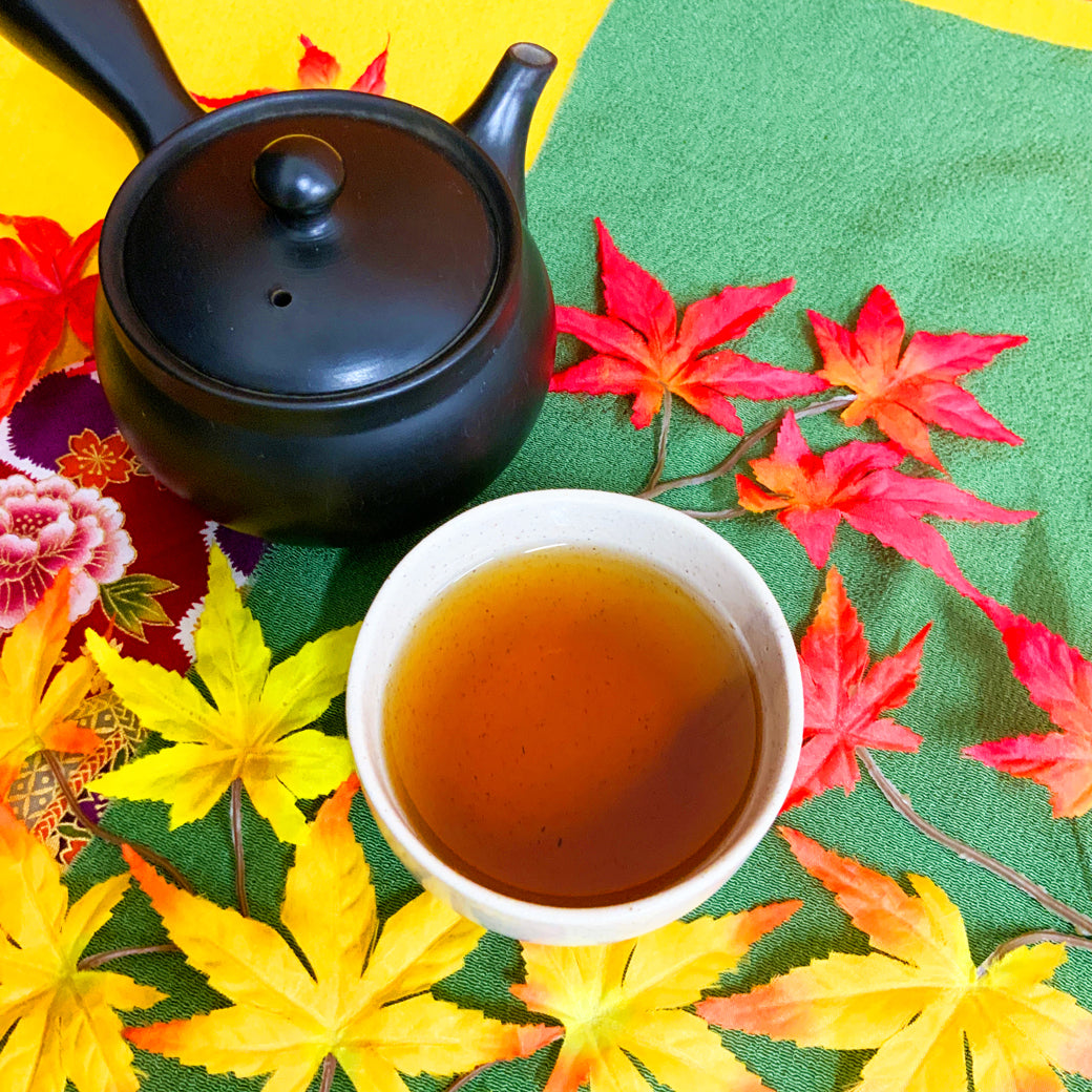 [Makino Shizuoka] Hojicha tea bag 