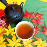 【静岡掛川産】最上ほうじ茶ティーバッグ 「かほり」５gTB×30ｐ入※ネコポス便不可