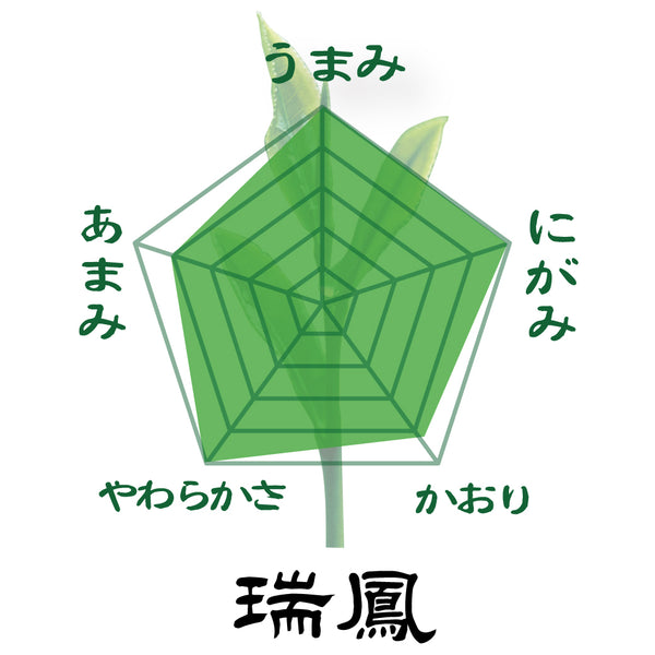 [From Kikugawa, Kakegawa, Shizuoka] Mogami Deep Steamed Green Tea "Zuiho" 80g 3-bottle set