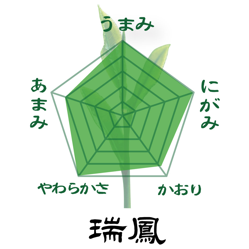 [Yabukita variety from Shizuoka Kakegawa Kikugawa] Special deep-steamed green tea 