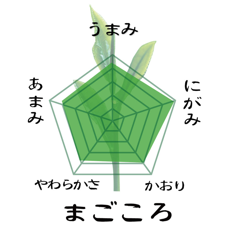 [Yabukita variety from Kakegawa, Shizuoka] Special original deep-steamed green tea “Magokoro” 80g pack 