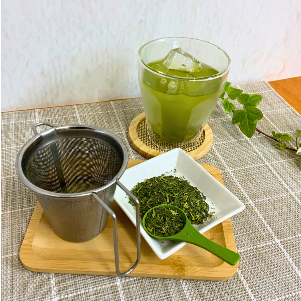 特別価格【静岡森産】水出し緑茶「はまかぜ」＆SS手付きフィルターセット　※ネコポス便不可