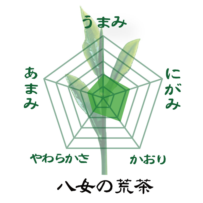 Shizuoka Kakegawa/Fukuoka Yame Aracha-zukuri Green Tea Drinking Set 