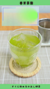 特別価格【静岡森産】水出し緑茶「はまかぜ」＆SS手付きフィルターセット　※ネコポス便不可