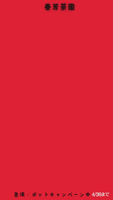 深蒸し茶・細かめ茶葉・急須いらず！【スーパーステンレスフィルター手付きタイプ】