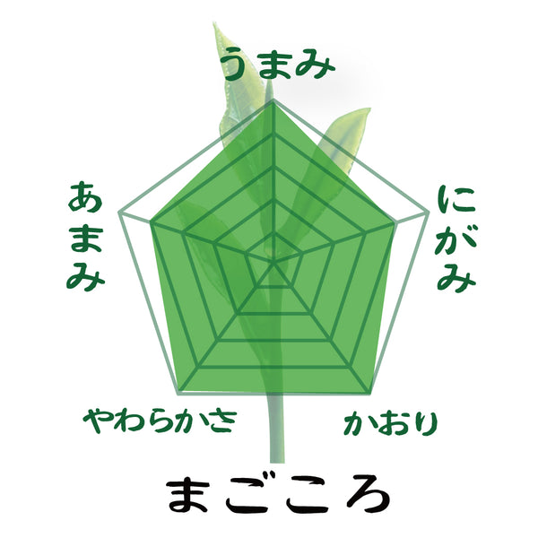 New tea from 2023 [Yabukita variety from Kakegawa, Shizuoka] Special original deep-steamed green tea “Magokoro” 80g packed 