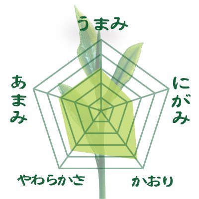 [Saemidori &amp; Yabukita varieties from Yame, Fukuoka Prefecture] Deep steamed covered green tea “Yame no Hoshi” 80g pack 