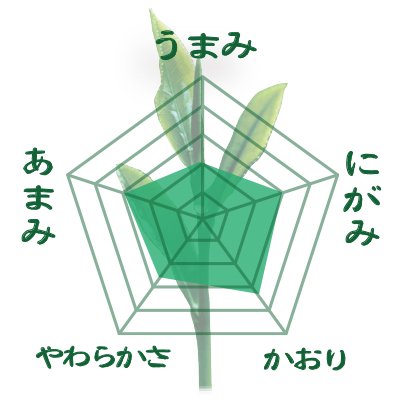 [Fukuoka Yame Yabukita & Saemidori varieties] Special deep steamed kabuse green tea 