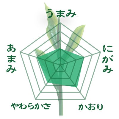 [Fukuoka Yame Yabukita &amp; Saemidori varieties] Special deep steamed kabuse green tea "Yame no Kaori" 80g packed 