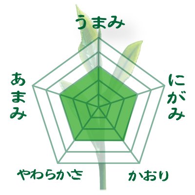 2023 new tea [Yabukita variety from Kikukawa, Shizuoka] Special original deep-steamed green tea ``Nama-aracha'' 80g packed 