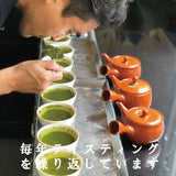 特別価格！静岡・福岡八女産「紐付き緑茶ティーバッグ飲みくらべセット」