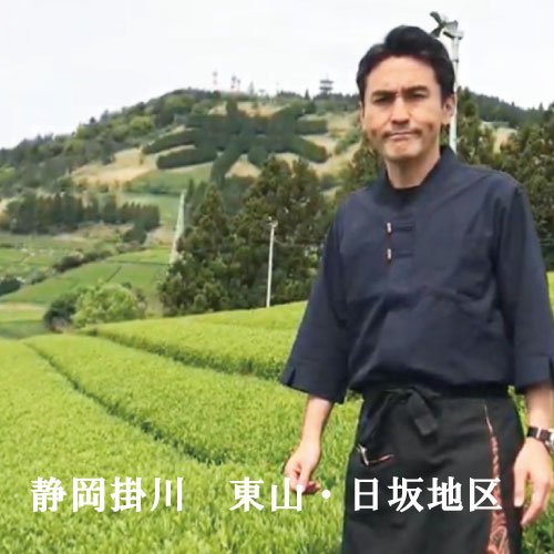 [From Kikugawa, Kakegawa, Shizuoka] 