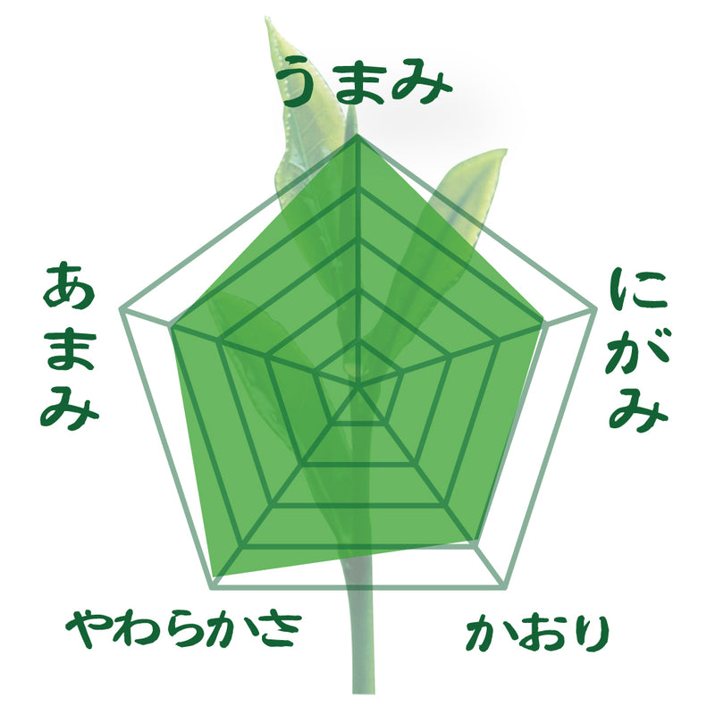 Delivery will be from October 12th to 18th. Founding Festival Limited Quantity Deep-Steamed Sencha "Totteki" 70g Pack [Yabukita variety from Kikugawa, Kakegawa, Shizuoka]