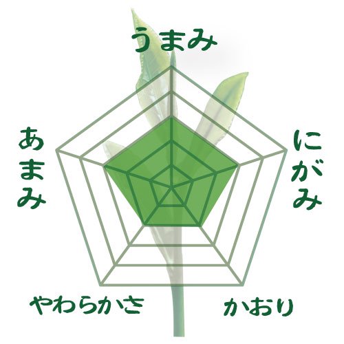 2024年度産 【静岡掛川産やぶきた品種】特製深蒸し緑茶 荒茶「太鼓番」 200g詰　※ネコポス便は２本まで