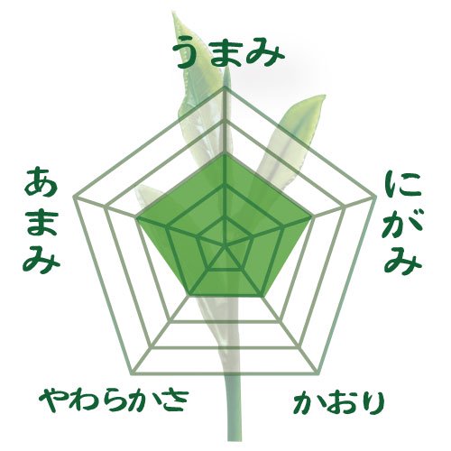 [Yabukita variety from Kakegawa, Shizuoka] Deep steamed green tea Aracha "Taikoban" 80g pack