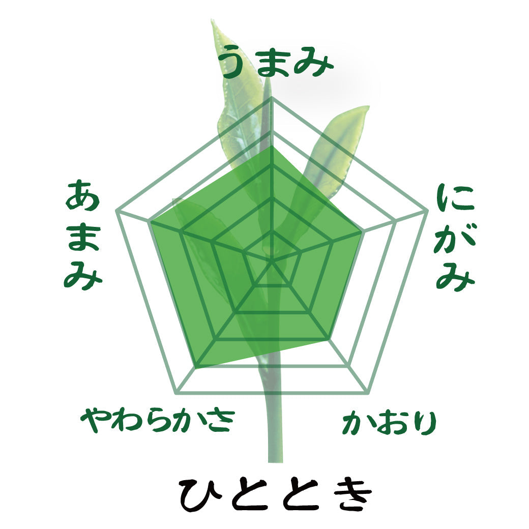 special offer! Shizuoka, Kagoshima, and Fukuoka Yame's three major production areas sencha drinking comparison set