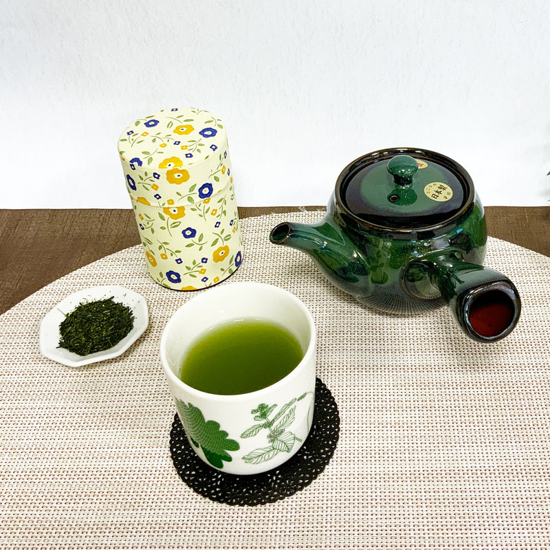 Tokoname ware green sea cucumber net teapot 380ml