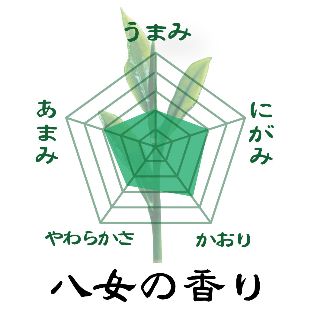 special offer! Shizuoka, Kagoshima, and Fukuoka Yame's three major production areas sencha drinking comparison set